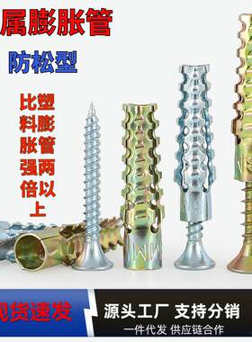 8mm内膨胀螺丝铁的膨胀管带螺丝自攻螺钉胶塞胶粒M6/8/10镀锌管