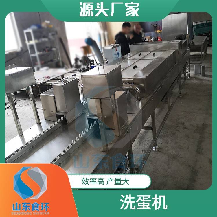 全自动鸡蛋清洗机洗蛋机设备多功能鸭蛋清洗机保洁蛋清洗机