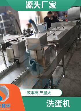 全自动鸡蛋清洗机洗蛋机设备多功能鸭蛋清洗机保洁蛋清洗机
