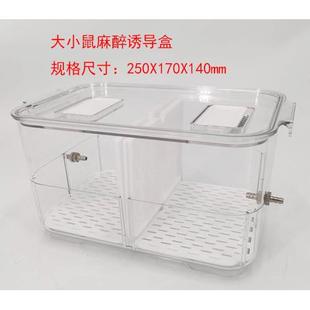 大鼠诱导箱 小鼠诱导盒 麻醉机配件 动物麻醉机配件 全透明