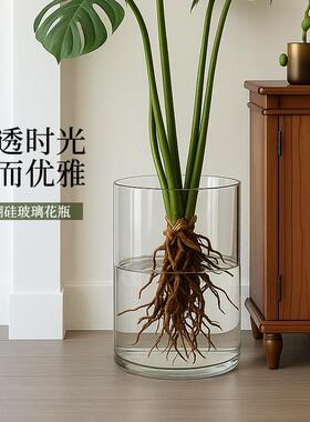 直筒透明玻璃花瓶摆件客厅插花水养龟背竹专用花盆轻奢高级感鱼缸