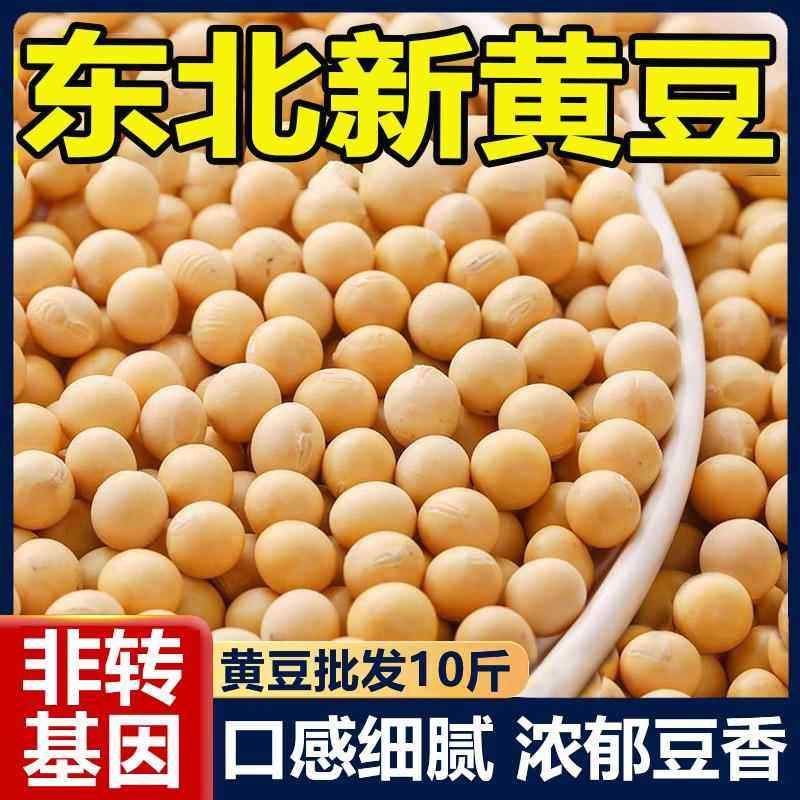 东北黄豆农家自产大黄豆五谷杂粮豆类豆浆生豆芽黄豆官方旗舰店,粮油调味/速食/干货/烘焙,黄豆,淘宝优惠券,粉丝福利购,淘宝优惠卷