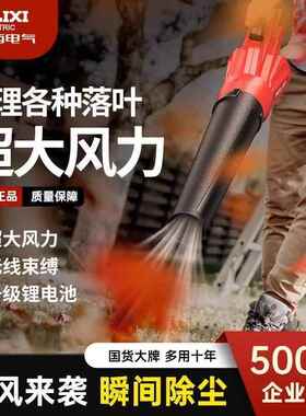 德力西鼓风机强力锂电吸吹风机大功率工业用吹雪除灰尘电动暴风枪