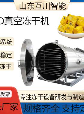 240平方真空冷冻干燥机凤梨片蓝莓山楂冻干设备水果脆冻干机