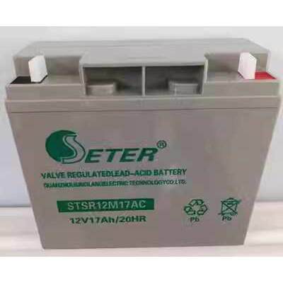 ETER蓄电池HSE100-12/12V100AH65A55A40A24A17直流屏EPS/UPS电源