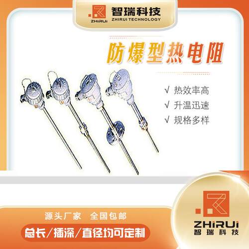 热电偶/耐磨防爆防水防溅热电偶/江苏智瑞/多种规格型号