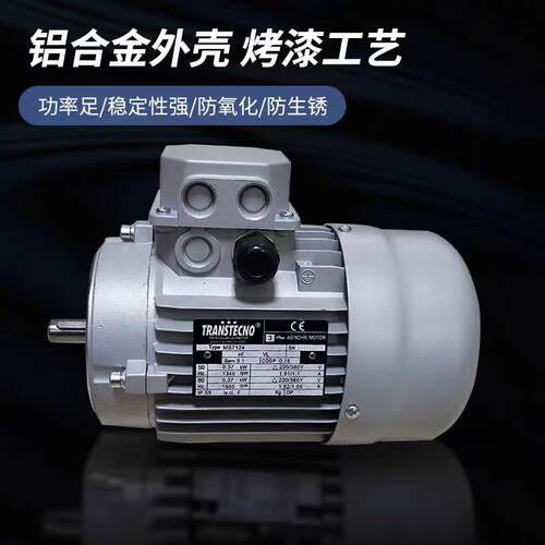 意大利原装进口诠世三相交流电机MS56B4～MS132L4 0.12KW～7.5KW