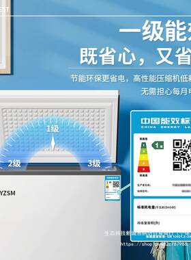 扬子数码用能无小冰柜家全冷冻小型商节用大容量冷藏霜两用柜8888