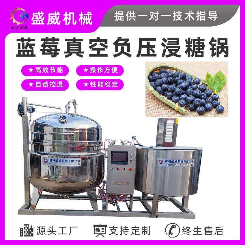 大型商用真空蓝莓李子浸糖机红薯干浸糖入味设备