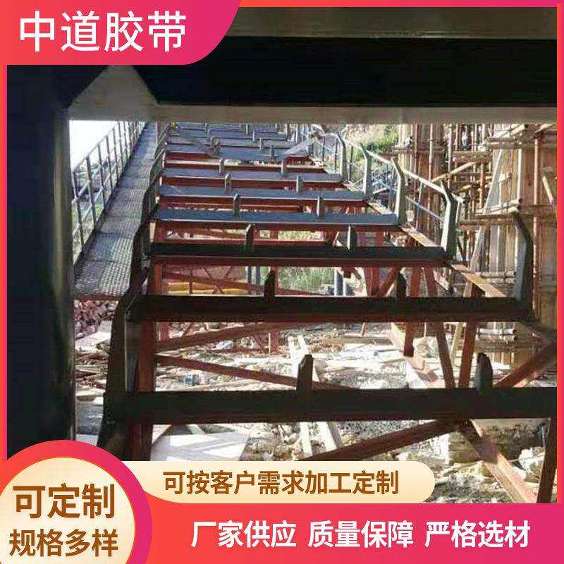 尼龙装卸车 环形抗热平板橡胶输送带 矿用花纹橡胶矿场支架