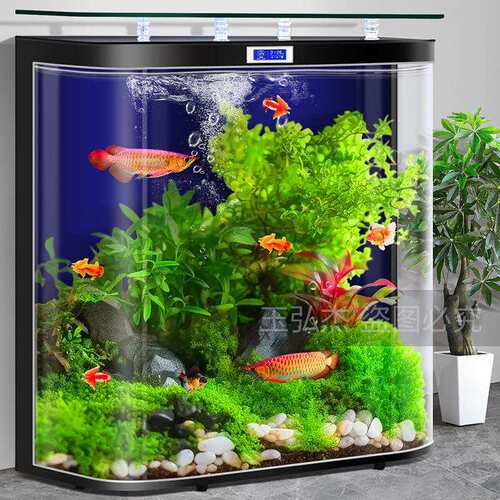 新款鱼缸客厅大型背滤免打理生态水族箱家用小型观赏鱼专用玻璃缸
