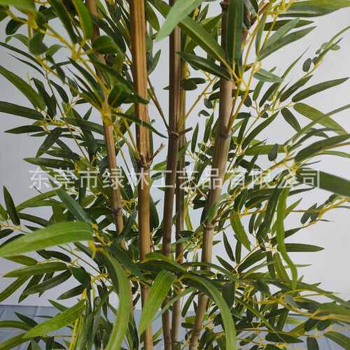 盆景落地竹子室内植仿真绿物北欧装饰屏风办公大型假植家居客厅