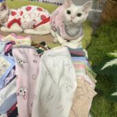 德文猫衣服棉夏季 薄卡通柔软吊带背心矮脚可爱无毛猫斯芬克斯衣服