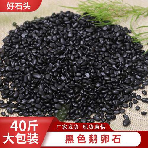 40斤装黑色鹅卵石抛光天然小黑石头景观黑石子精品黑色雨花石