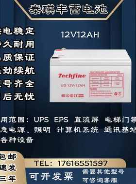 Techfine泰琪丰蓄电池 12V12AH 直流屏 电梯门禁 UPS/EPS电源主机
