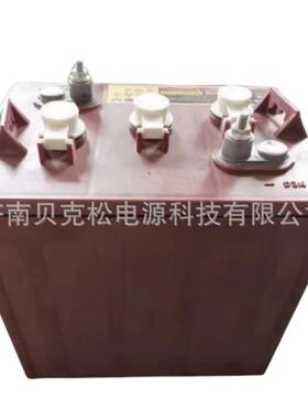 百瑞欧蓄电池T-1056v225ah堆高车洗地机升降平台专用水电瓶可充电