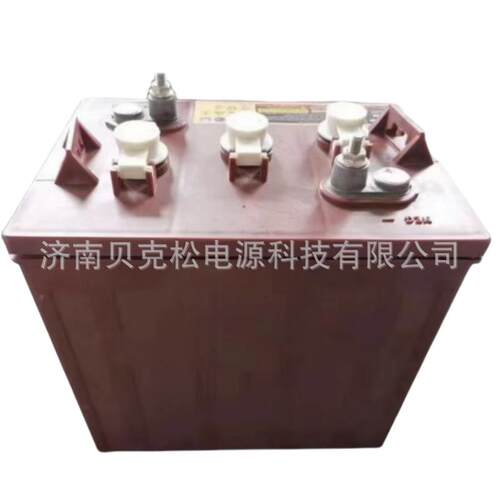 百瑞欧蓄电池T-1056v225ah堆高车洗地机升降平台专用水电瓶可充电