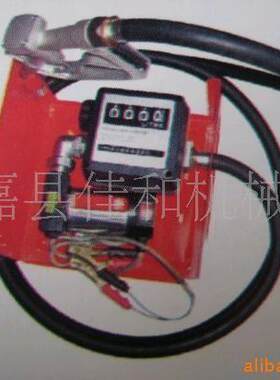 车载加油机直流加油站设备小型汽车便携带计量器跳枪泵自动抽油机