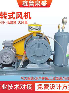 回转式鼓风机 污水处理一体化设备曝气回旋风机 回转式风机
