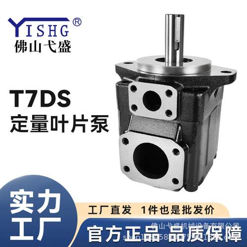 伺服叶片油泵T7DS-B17 20 22 24 28 31 35 38 42 45 50-1R00-A1M0