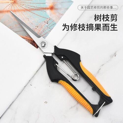 不锈钢尖头果园摘果剪 葡萄蔬果稀果剪刀修枝果枝剪