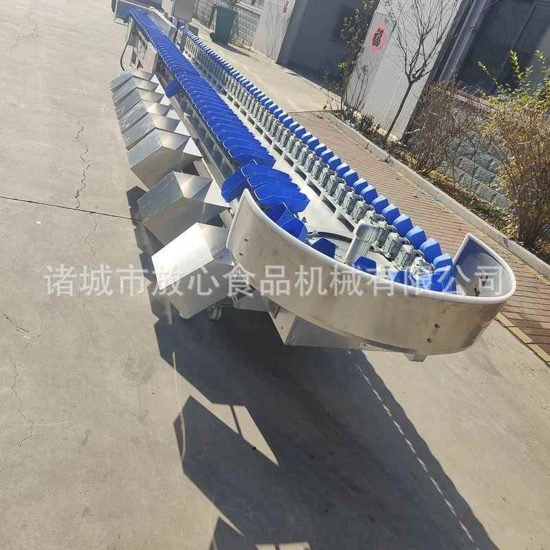 鸡爪 鸡选RKI脖鸡翅称锈重分选机分机 海蛎子牡蛎不 钢重量分选机