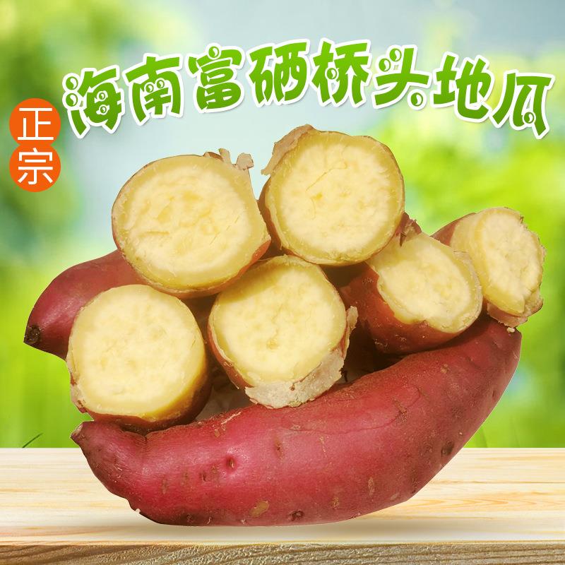 海南桥头地瓜澄迈富硒沙地番薯粉糯香甜山芋新鲜黄心板栗红薯
