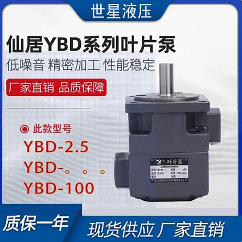 YBD-100叶片泵YBD-2.5/4/6/10/16/20/25/32/63/80/125正