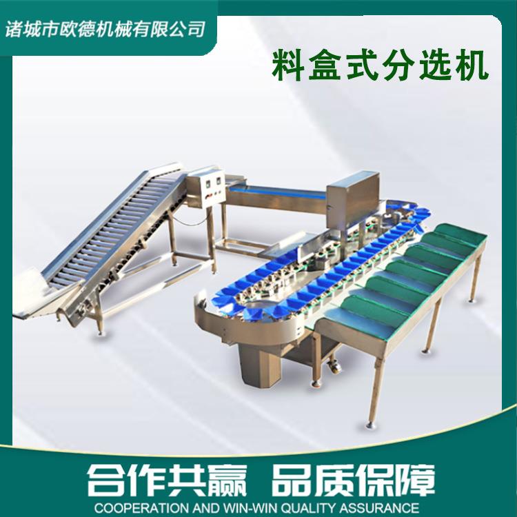 小龙虾重量分选机水果料盒橙子柠檬等级分级机自动检测级别精准