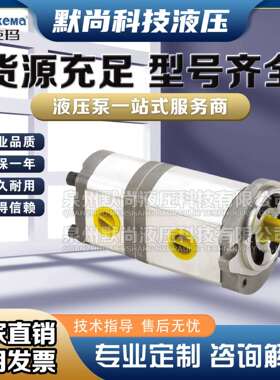 DEKEMA德克玛油泵GPY-22A-22~66/HGP-33A-66~1717双联齿轮泵