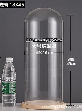 厂家跨境永生干花玻璃装饰摆件