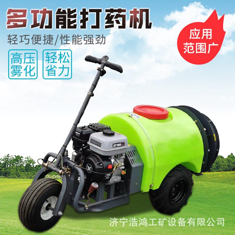 自走式果树木喷雾机农用果园除虫喷雾器汽油柴油牵引式风送打机