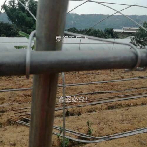 园艺温室管大棚配件压簧卡簧钢丝夹棚弹簧大RZI棚卡子椭顶圆钢卡