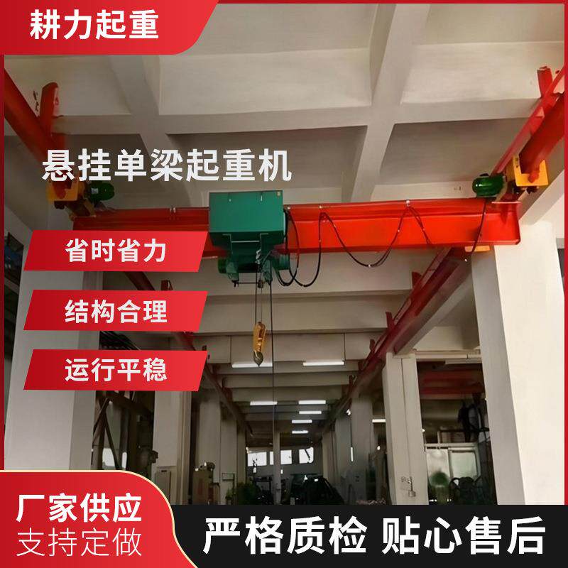 单梁行车低净空电动车间双速单梁行车加长臂悬挂起重机