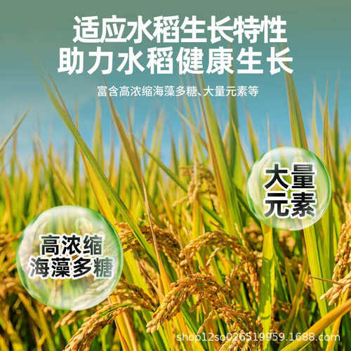 卡倍拉水稻灌浆籽粒宝水稻分蘖灌浆增产专用叶面肥生根促长肥