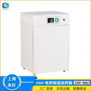 DHP 9082实验室生物电热恒温培养箱菌种储藏电热膜加热