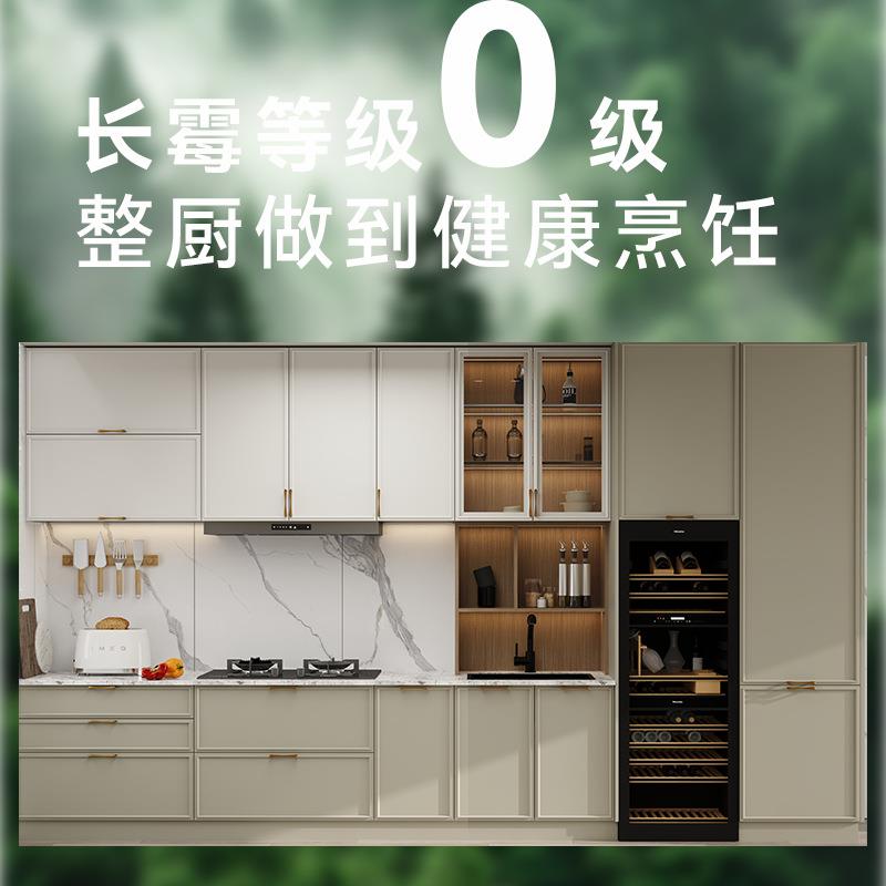 赫思庭一字型家用厨房厨柜不锈钢简约玻璃门展示柜小户型整体橱柜