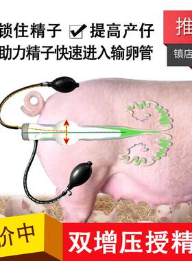 猪用双增压授输精器猪授精器畜牧养殖输精瓶兽用母猪人工输授精器