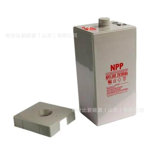 NPP耐普蓄电池NP2-400太阳能通信基站 2V400AH工业配套免维护电池