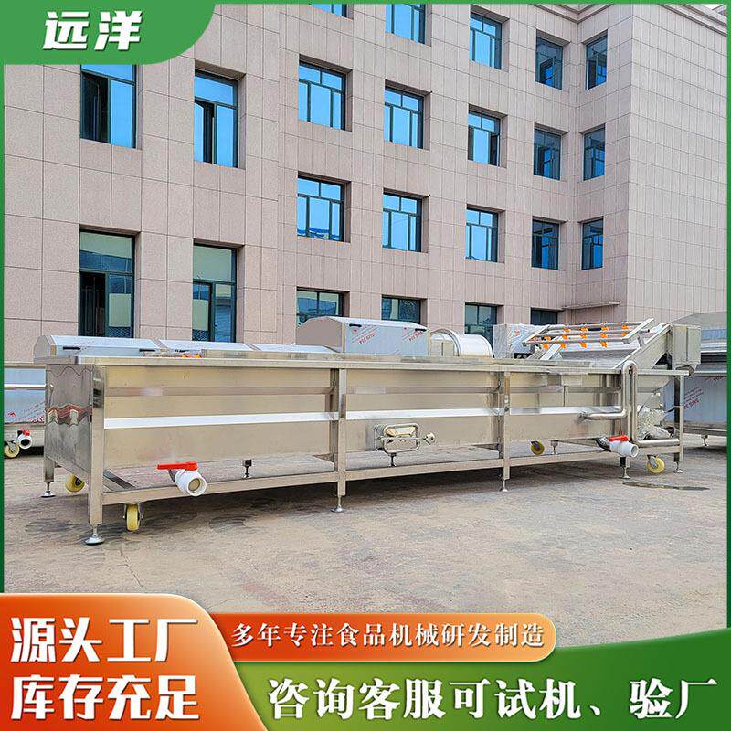 果ZSS蔬气泡参清洗设备 人枸杞淋式清洗设 备中喷药材清洗机厂家