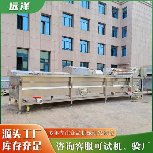 辣椒清洗机商用水果蔬菜翻转冲浪清洗设备全自动果蔬气泡清洗机