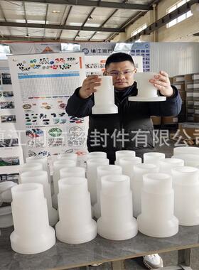 供应PFA组合填料密封件 PFA非标异形件