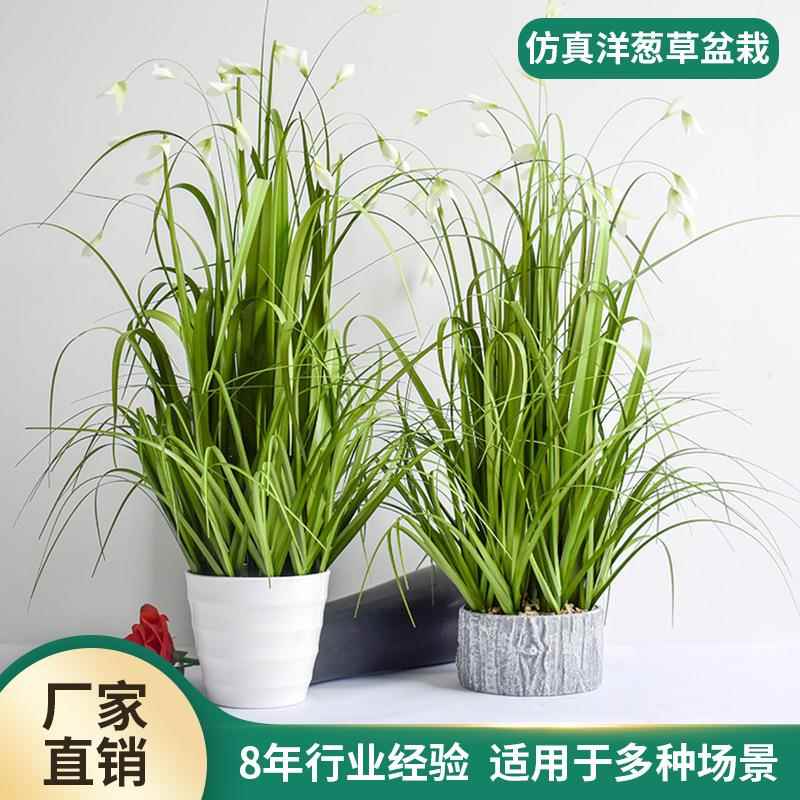 洋葱草仿真盆栽园林绿化盆景仿真植物摆件假花假草玉兰花绿植盆栽