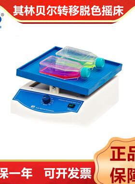 TS-8S（双层）/TS-8转移脱色摇床万向脱色摇床