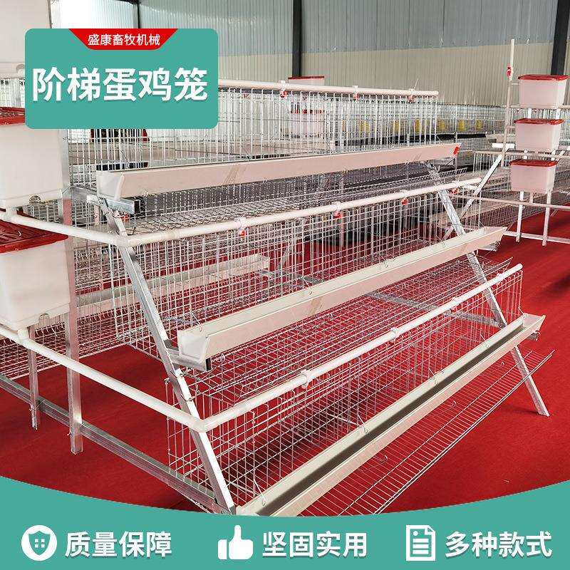 家用阶梯蛋鸡笼养殖场蛋鸡笼子鸡鸭特大号三层双边4门5门阶梯式