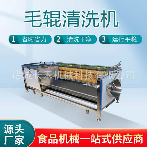 全自动果蔬根茎类去泥去皮毛辊清洗机 海鲜材清洗机