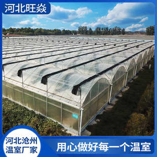 连栋温室大棚蔬菜育苗花卉暖棚养殖栽培钢管骨架内外遮阳温室大棚