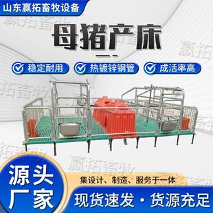 厂家现货母猪双体产床产保一体全复合母猪分娩栏养殖设备母猪产床