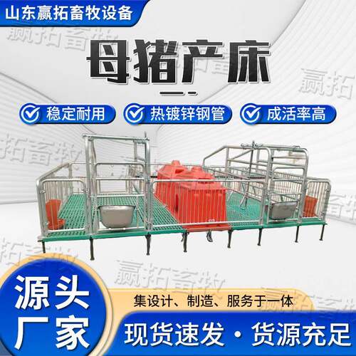 厂家现货母猪双体产床产保一体全复合母猪分娩栏养殖设备母猪产床