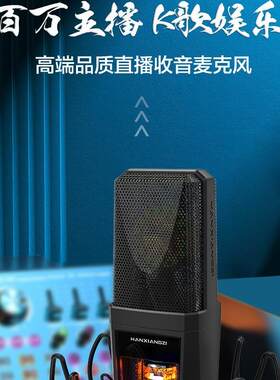 韩湘子（HANXIANGZI）KMS-240PRO大振膜电容麦克风